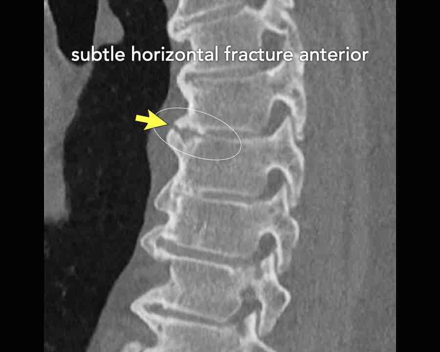 Slide 8
