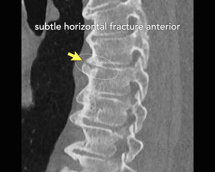 Slide 9
