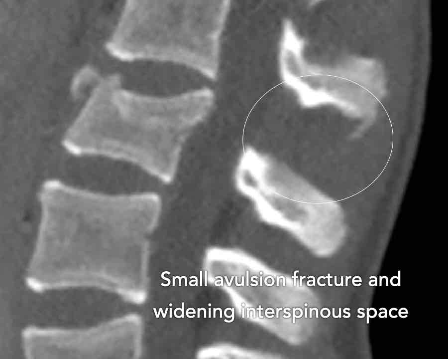 Slide 8