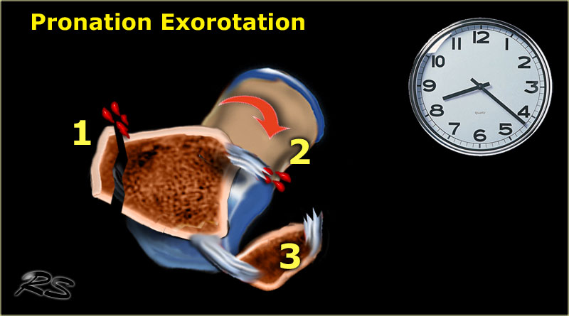 Slide 5