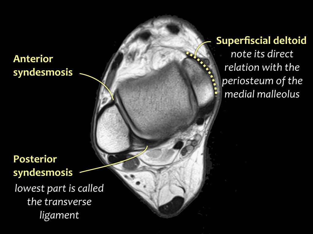 Slide 6