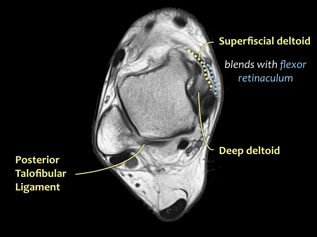 Slide 7