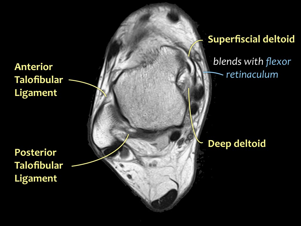 Slide 9