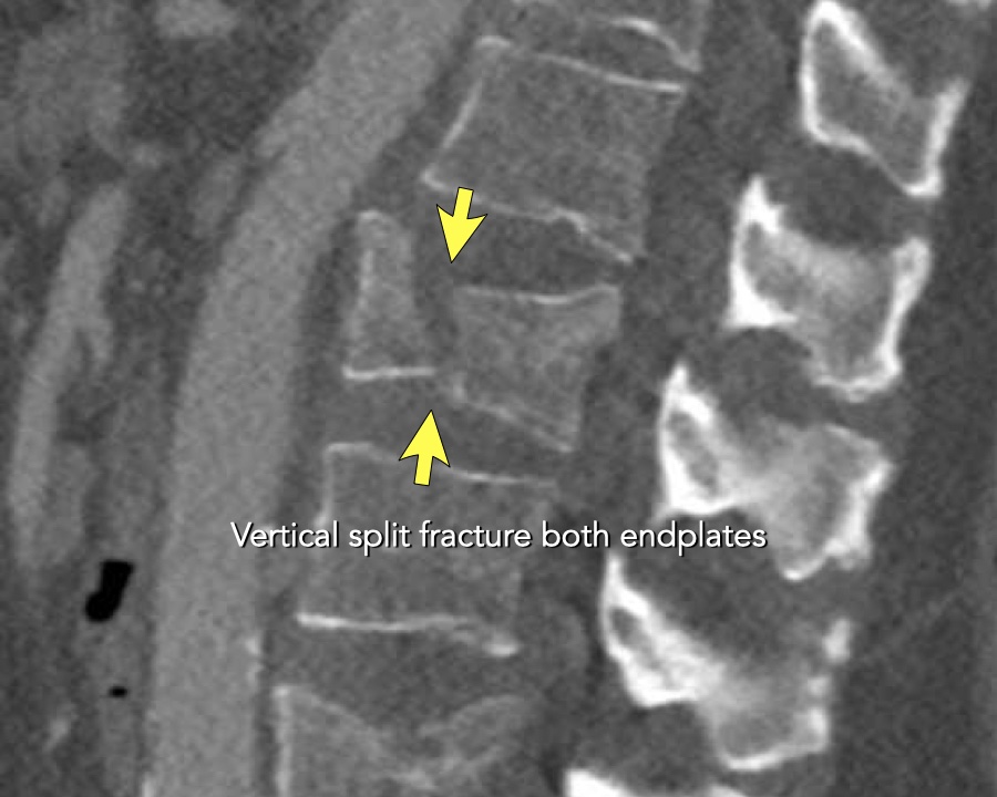 Slide 8