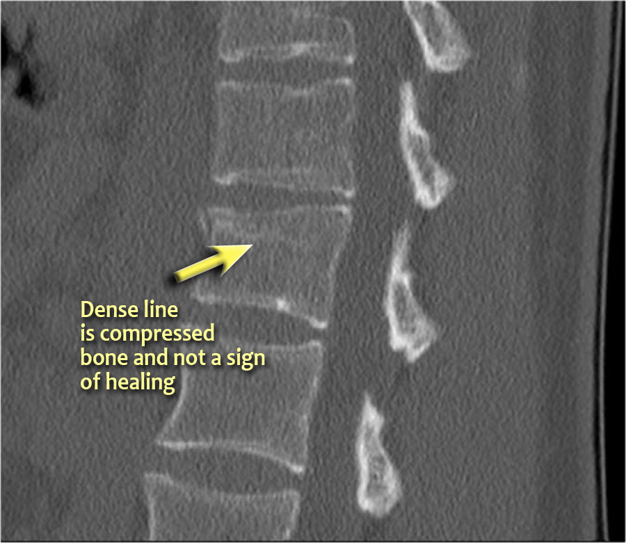 Slide 7