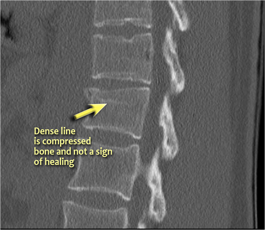 Slide 8