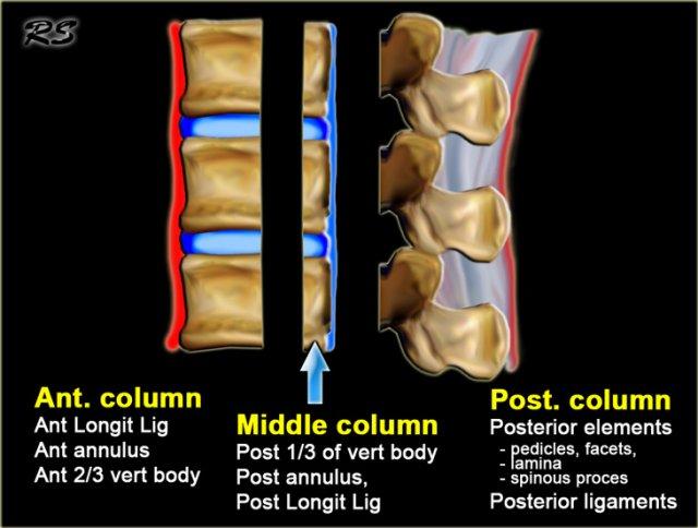 Three column theory of Denis